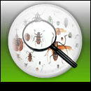 Avatars to free download for your forum or blog (7 100 avatars)