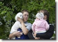 Jorkrsk terier, Yorkshire Terrier,