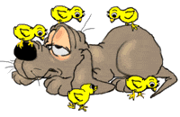 More smileys for free download