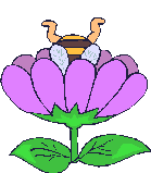 More smileys for free download